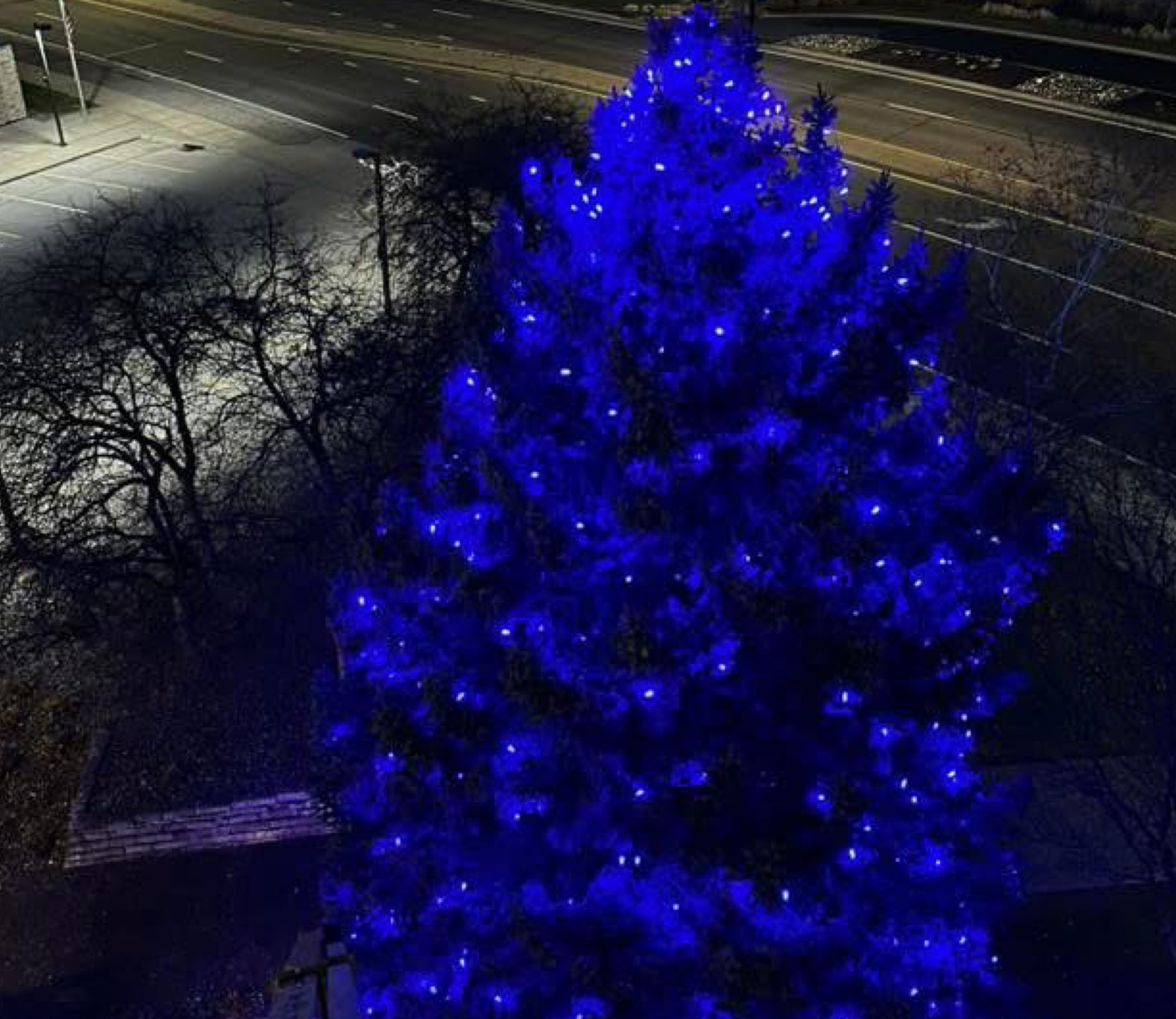 Tree wrapped in cool blue and white Christmas lights at night